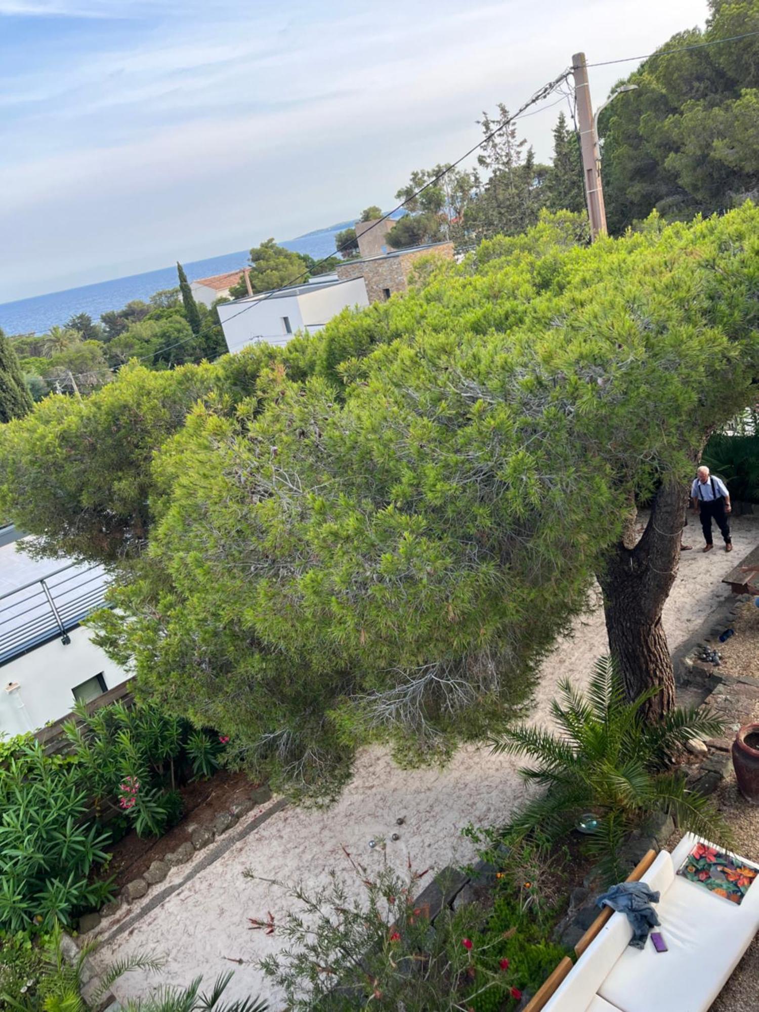 Villa Paradis Les Issambres Εξωτερικό φωτογραφία