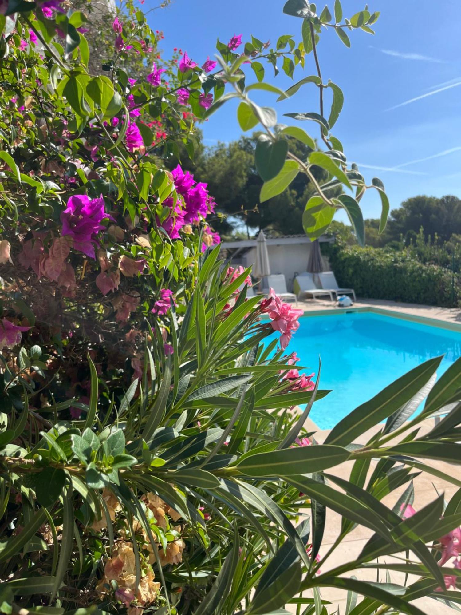 Villa Paradis Les Issambres Εξωτερικό φωτογραφία