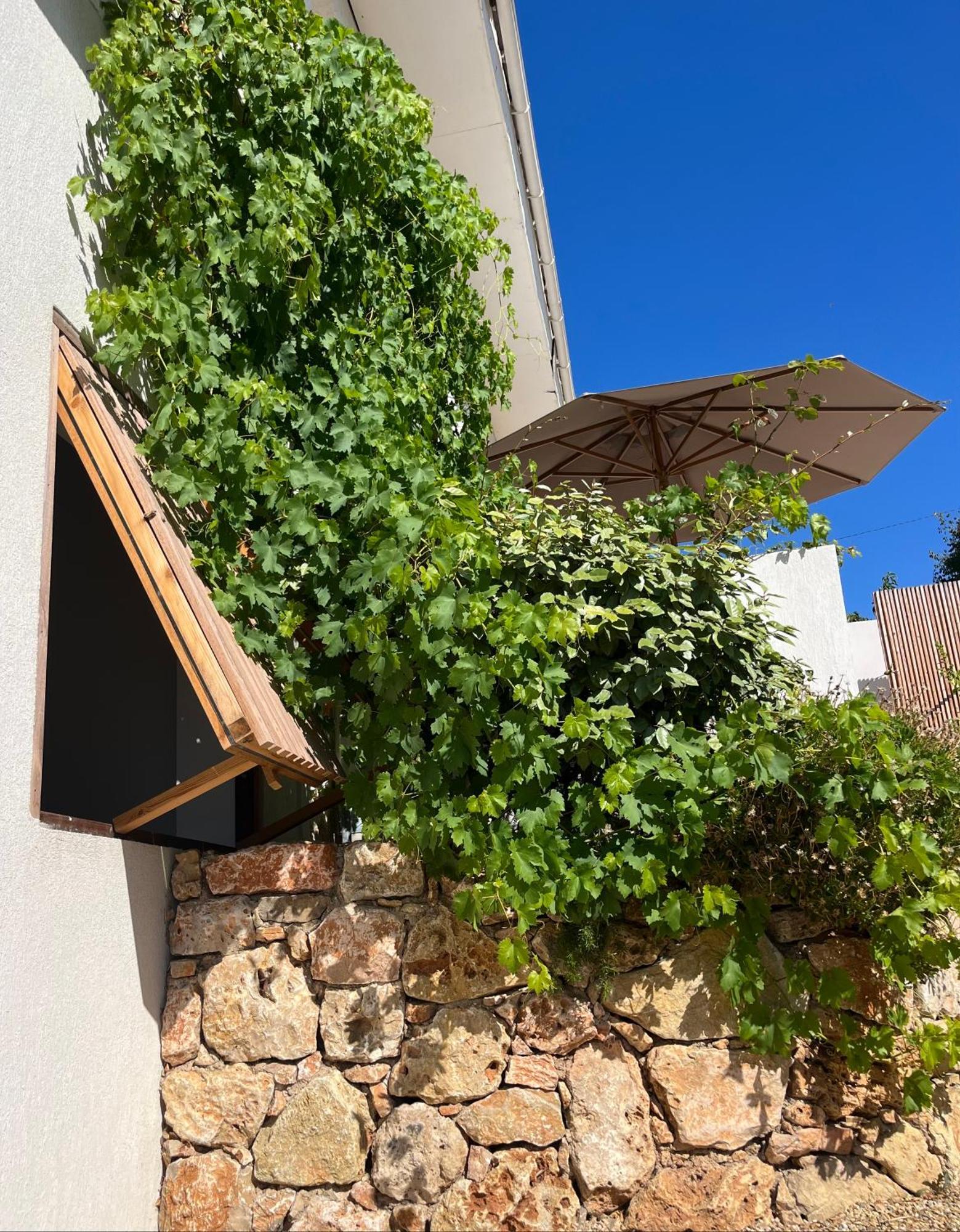 Villa Paradis Les Issambres Εξωτερικό φωτογραφία